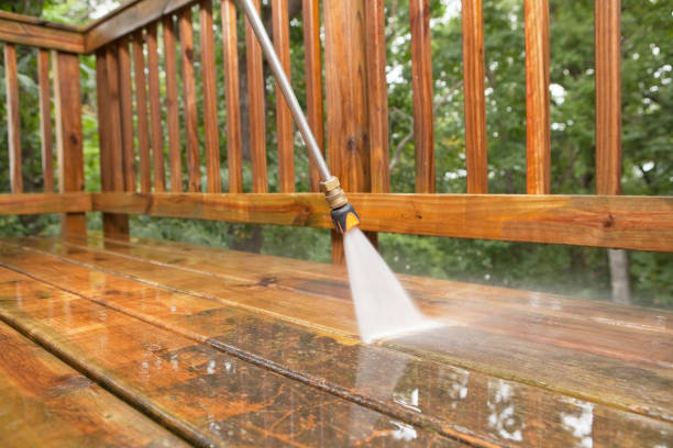 Best Deck Cleaning Services  in Oglesby, IL