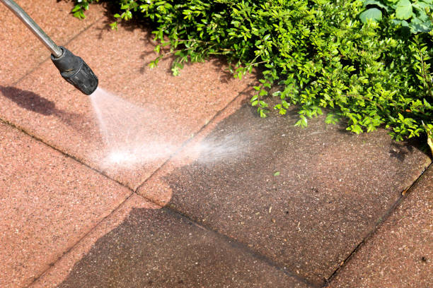 Best Best Pressure Washing Companies  in Oglesby, IL
